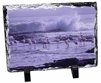 Pink Flamingo on Sea Shore, Stunning Photo Slate