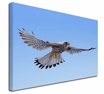 Flying Kestrel Bird of Prey Canvas X-Large 30"x20" Wall Art Print