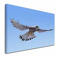 Flying Kestrel Bird of Prey Canvas X-Large 30"x20" Wall Art Print