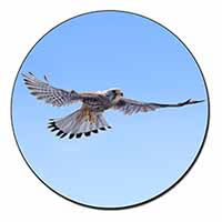 Flying Kestrel Bird of Prey Fridge Magnet Printed Full Colour