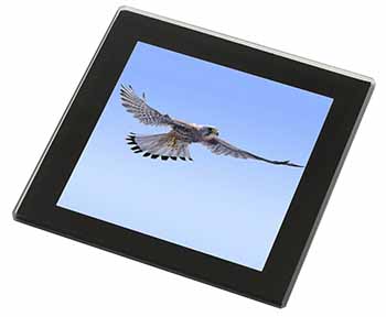 Flying Kestrel Bird of Prey Black Rim High Quality Glass Coaster