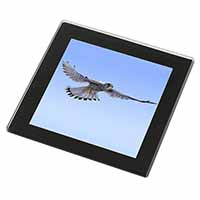 Flying Kestrel Bird of Prey Black Rim High Quality Glass Coaster