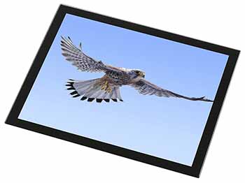 Flying Kestrel Bird of Prey Black Rim High Quality Glass Placemat