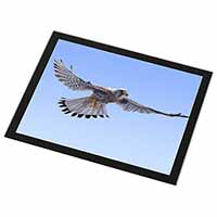 Flying Kestrel Bird of Prey Black Rim High Quality Glass Placemat