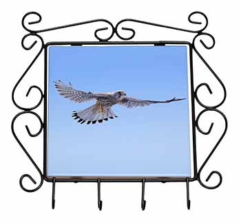 Flying Kestrel Bird of Prey Wrought Iron Key Holder Hooks