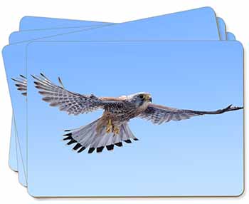 Flying Kestrel Bird of Prey Picture Placemats in Gift Box