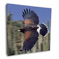 Flying Harris Hawk Bird of Prey Square Canvas 12"x12" Wall Art Picture Print