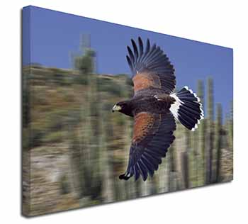 Flying Harris Hawk Bird of Prey Canvas X-Large 30"x20" Wall Art Print