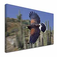 Flying Harris Hawk Bird of Prey Canvas X-Large 30"x20" Wall Art Print