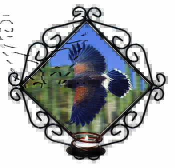 Flying Harris Hawk Bird of Prey Wrought Iron Wall Art Candle Holder