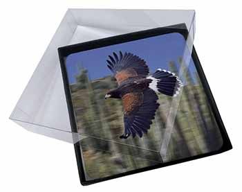 4x Flying Harris Hawk Bird of Prey Picture Table Coasters Set in Gift Box