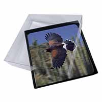 4x Flying Harris Hawk Bird of Prey Picture Table Coasters Set in Gift Box