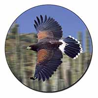 Flying Harris Hawk Bird of Prey Fridge Magnet Printed Full Colour