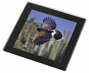 Flying Harris Hawk Bird of Prey Black Rim High Quality Glass Coaster