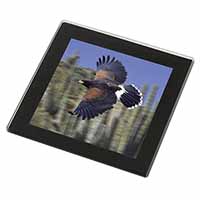 Flying Harris Hawk Bird of Prey Black Rim High Quality Glass Coaster