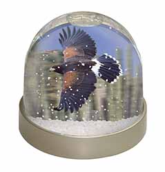 Flying Harris Hawk Bird of Prey Snow Globe Photo Waterball