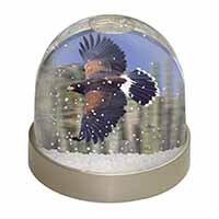 Flying Harris Hawk Bird of Prey Snow Globe Photo Waterball