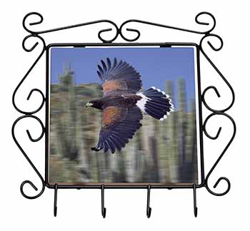 Flying Harris Hawk Bird of Prey Wrought Iron Key Holder Hooks