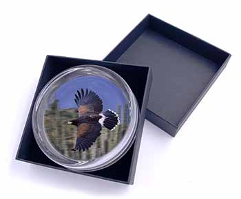 Flying Harris Hawk Bird of Prey Glass Paperweight in Gift Box