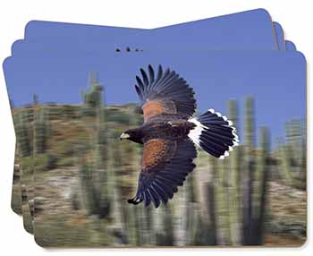 Flying Harris Hawk Bird of Prey Picture Placemats in Gift Box