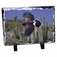 Flying Harris Hawk Bird of Prey, Stunning Photo Slate Printed Full Colour - Advanta Group®