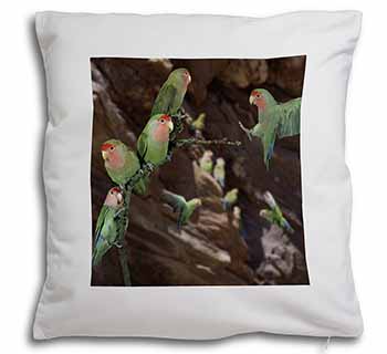 Lovebirds, Pretty Love Birds Soft White Velvet Feel Scatter Cushion