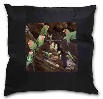 Lovebirds, Pretty Love Birds Black Satin Feel Scatter Cushion