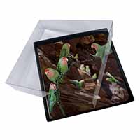 4x Lovebirds, Pretty Love Birds Picture Table Coasters Set in Gift Box