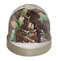 Lovebirds, Pretty Love Birds Snow Globe Photo Waterball