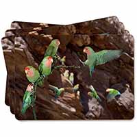 Lovebirds, Pretty Love Birds Picture Placemats in Gift Box - Advanta Group®