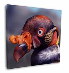 King Vulture Bird of Prey Square Canvas 12"x12" Wall Art Picture Print