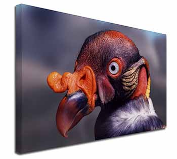 King Vulture Bird of Prey Canvas X-Large 30"x20" Wall Art Print