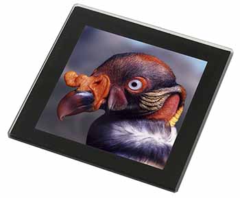 King Vulture Bird of Prey Black Rim High Quality Glass Coaster