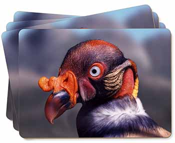 King Vulture Bird of Prey Picture Placemats in Gift Box