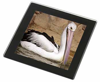 Pelican Print Black Rim Glass Coaster Animal Breed Gift