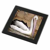 Pelican Print Black Rim Glass Coaster Animal Breed Gift