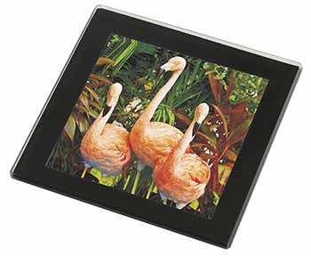 Pink Flamingo Print Black Rim High Quality Glass Coaster