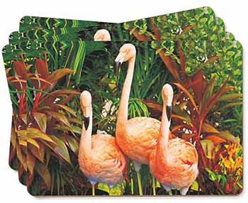 Pink Flamingo Print Picture Placemats in Gift Box