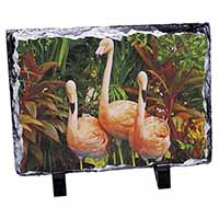 Pink Flamingo Print, Stunning Photo Slate