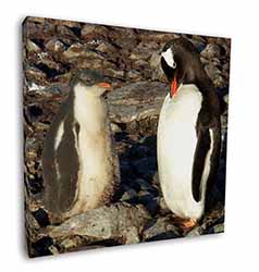 Penguins on Pebbles Square Canvas 12"x12" Wall Art Picture Print