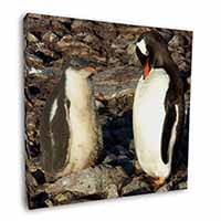 Penguins on Pebbles Square Canvas 12"x12" Wall Art Picture Print