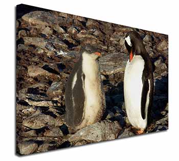 Penguins on Pebbles Canvas X-Large 30"x20" Wall Art Print