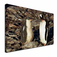 Penguins on Pebbles Canvas X-Large 30"x20" Wall Art Print