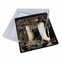 4x Penguins on Pebbles Picture Table Coasters Set in Gift Box