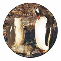 Penguins on Pebbles Fridge Magnet Printed Full Colour