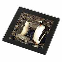Penguins on Pebbles Black Rim High Quality Glass Coaster