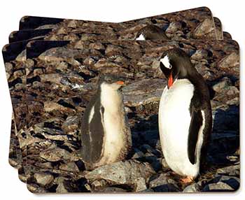 Penguins on Pebbles Picture Placemats in Gift Box