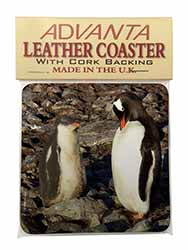 Penguins on Pebbles Single Leather Photo Coaster