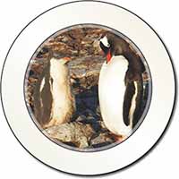 Penguins on Pebbles Car or Van Permit Holder/Tax Disc Holder