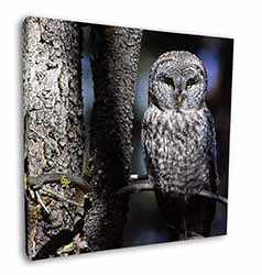 Stunning Owl in Tree Square Canvas 12"x12" Wall Art Picture Print